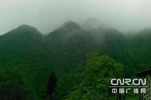 �׹�ɽ�^���F  ���[���F���ɾ����M�D��