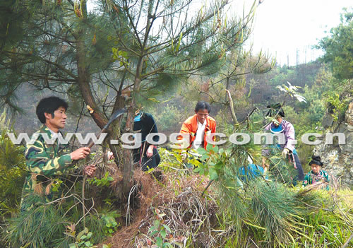 �����r(n��ng)��ֲ�䣲����   ��ɽ׃ɭ�ֹ��@���D��