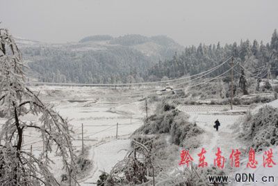 雪凝冰凍為什么偏愛黔東南?(組圖)