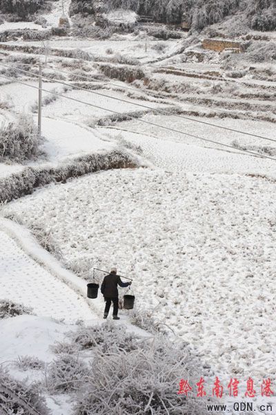 雪凝冰凍為什么偏愛黔東南?(組圖)