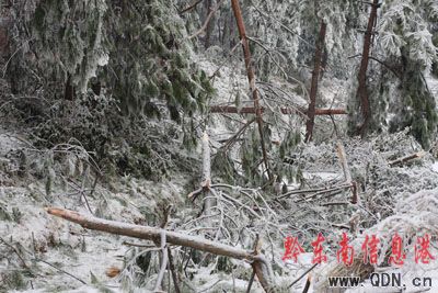 雪凝冰凍為什么偏愛黔東南?(組圖)