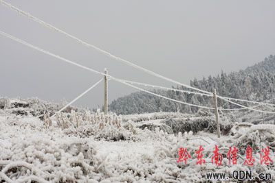 ѩ��������ʲôƫ��ǭ�|�ϣ����M�D��