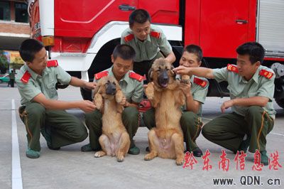 ���ᡰ��Ȯ�����I����  ���DƬ����