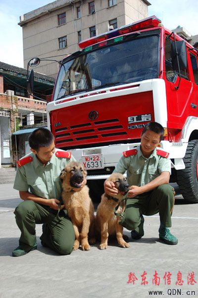 ���ᡰ��Ȯ�����I����  ���DƬ����