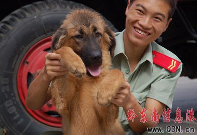 ���ᡰ��Ȯ�����I����  ���DƬ����