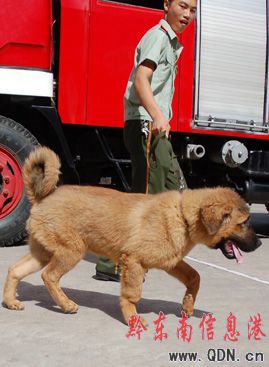 ���ᡰ��Ȯ�����I����  ���DƬ����