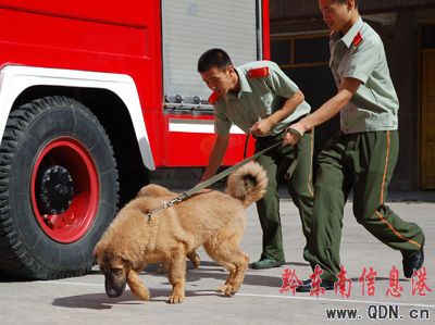 ���ᡰ��Ȯ�����I����  ���DƬ����