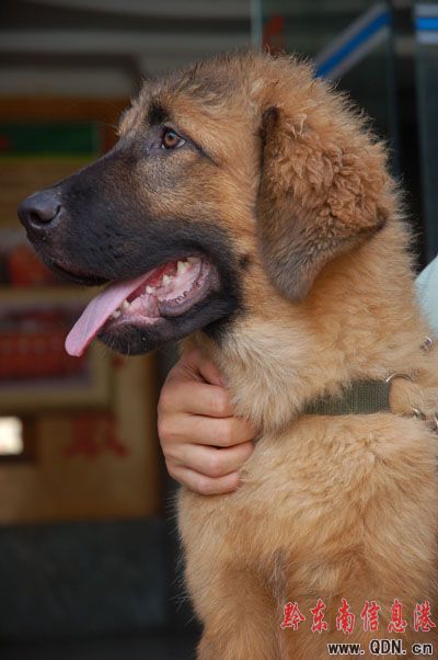 ���ᡰ��Ȯ�����I����  ���DƬ����