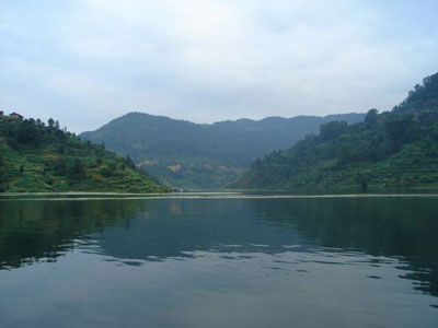 ʩ���h2006������Ч���σ|Ԫ