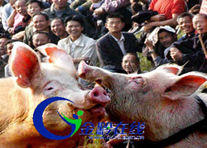 ǭ�|����ɽ�������i�����㶷ţ�����D��