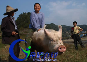 ǭ�|����ɽ�������i�����㶷ţ�����D��