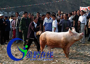 ǭ�|����ɽ�������i�����㶷ţ�����D��