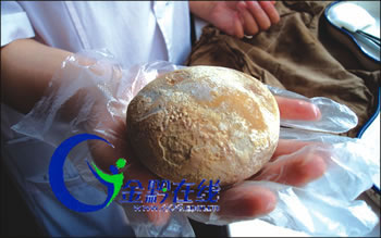 �a�D����ȡ�����Z��ʯ�� ʮ�ֺ�Ҋ(�D)