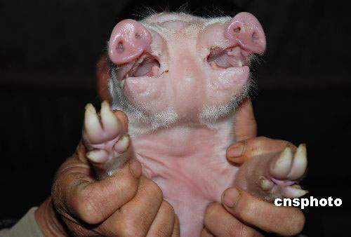 �M�D��4�qĸ�i�a���p�^С�i���ۃ���