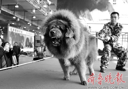 �����(bi��o)��3000�fԪ��r(ji��)(�D)