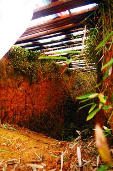 �Lɳ�h����Ĺ���I�IĹ�\���M(j��n)����Ĺ��(�D)