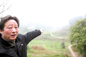 �Ϸ�����?q��)O�ӻ����K���������������(�M�D)