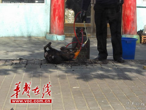 �W�Ѱl���ز��^���֟����(�M�D)