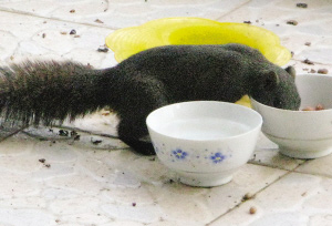 С����ÿ��ɴ��M(j��n)������в��(�M�D)