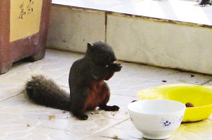 С����ÿ��ɴ��M(j��n)������в��(�M�D)