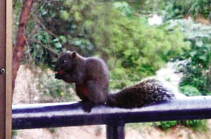 С����ÿ��ɴ��M(j��n)������в��(�M�D)