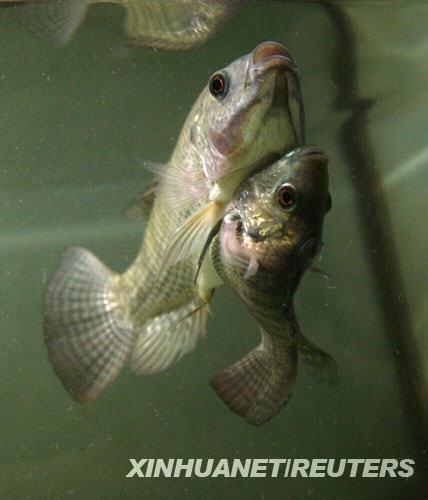 �B�w�~���E���һ��һ��ˮ����(�M�D)