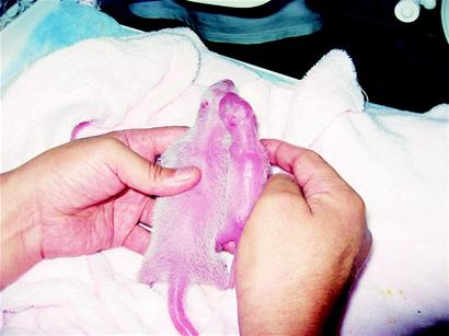 �ɶ�����؈�a��ȫ��vʷ�����p����