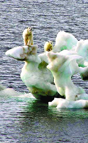 �������ڱ��O���ں����В�������(�D)