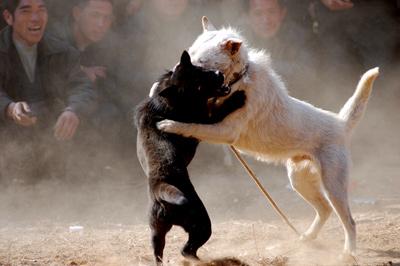 �齭�������[�´����D��