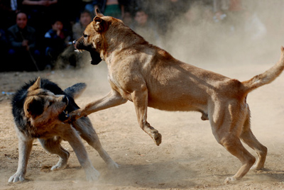 �齭�������[�´����D��