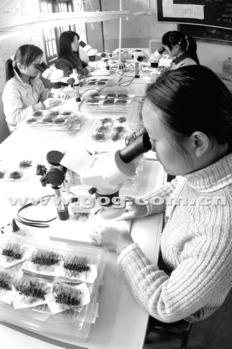 �_(t��i)��������ɫ�W(xu��)У�̌W(xu��)��(j��ng)��(j��)�p�A