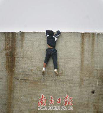 ���������� ����˲�g������(�M�D)