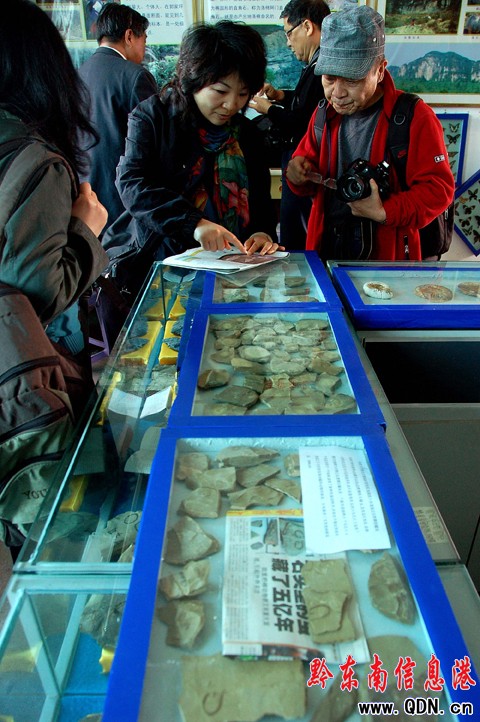 中外專家到凱里進行古生物考察