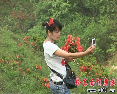 �_���݈����N���_ �A�ñ����ο���A���D��