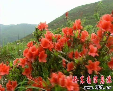 �_���݈����N���_ �A�ñ����ο���A���D��