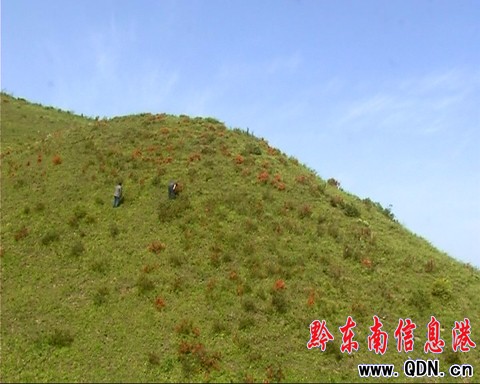 �_���݈����N���_ �A�ñ����ο���A���D��