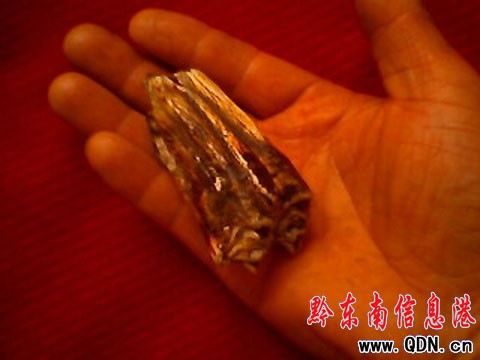 施秉城郊:發現不明動物殘骨(圖)