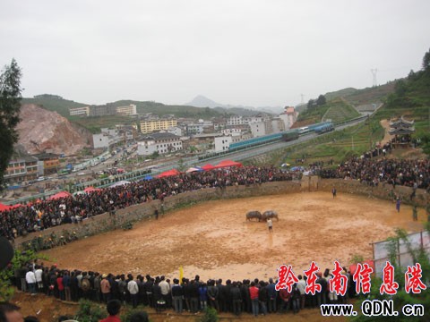 ǭ�|�ϖ|����ţ2009����ِ�M��ڶ��죨�D��