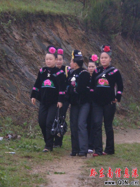 ��ɽ�h�����l�����Ļ����_Ļ���M�D��