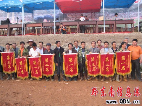 東方斗牛09爭霸賽結束 麻江牛王奪冠(圖)