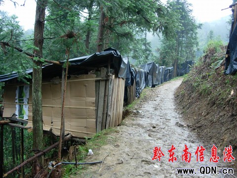 �����������Դ�����ĎX�@�Fɽ�w�ѿp���D��