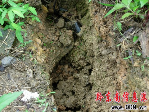 �����������Դ�����ĎX�@�Fɽ�w�ѿp���D��