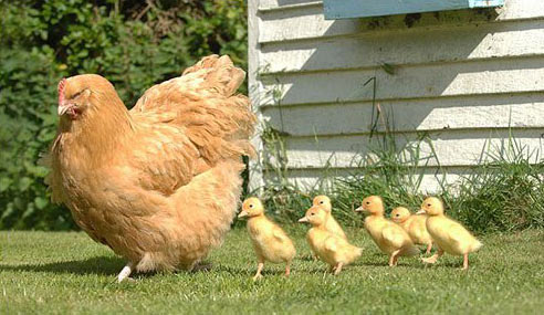 ĸ�u�`�����������С����(d��ng)����(�D)