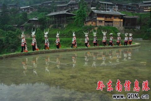 ��կ��ǧ���R���\�u�� �f���s�������p���D��