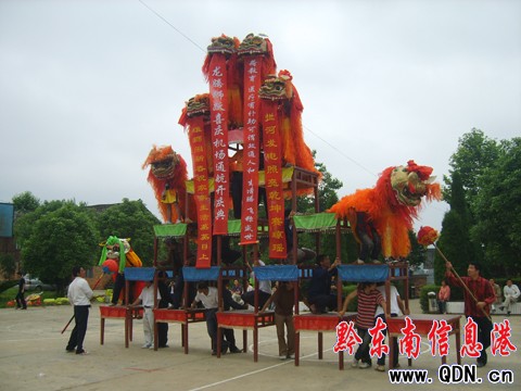 錦屏:新化舞獅耍水龍異彩神秘(組圖)