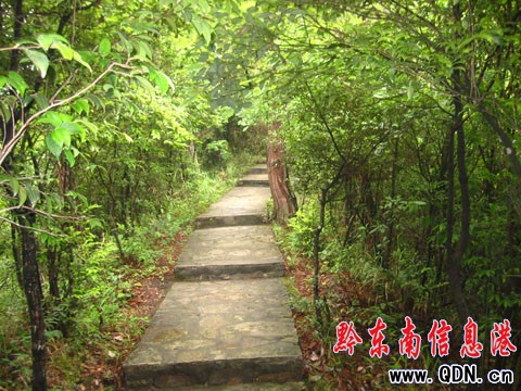 ����ʩ�����_ɽ���F�ݰ��Sɽ���M�D��