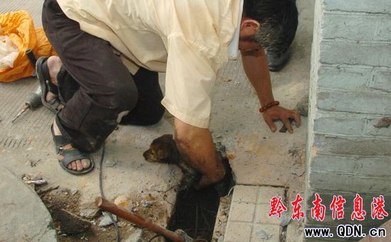 ����������סС����ˮ���Ԉ���2��1ҹ(�M�D)