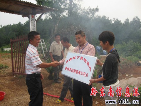 �P���r���W�顰���r���ṩ���|���գ��D��