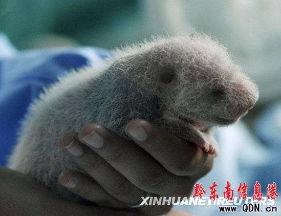 �M�D��̩�������f̩㏞���؈��������