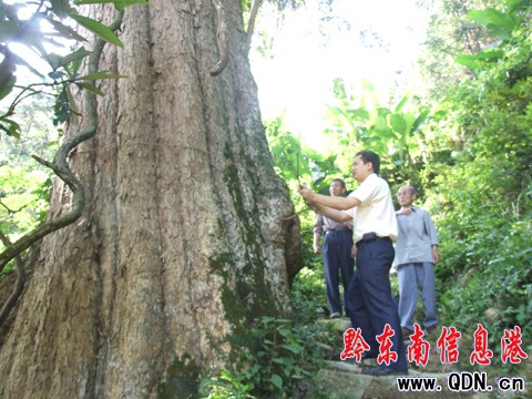 500�q��������� �F(xi��n)���\��ɽ�֣��D��